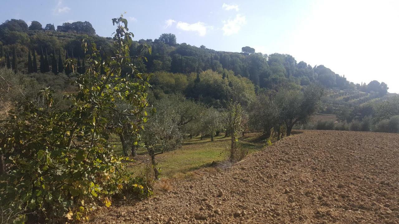 הוילה קיוזי Montevenere 83 מראה חיצוני תמונה