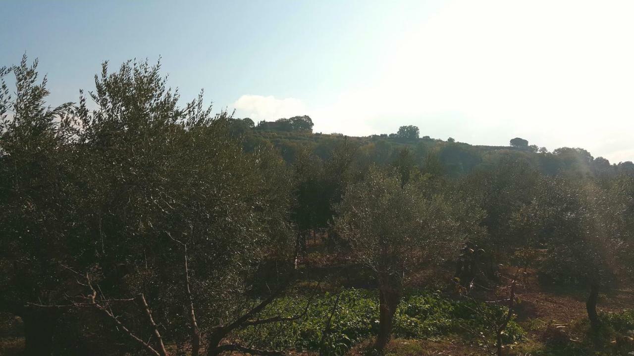 הוילה קיוזי Montevenere 83 מראה חיצוני תמונה
